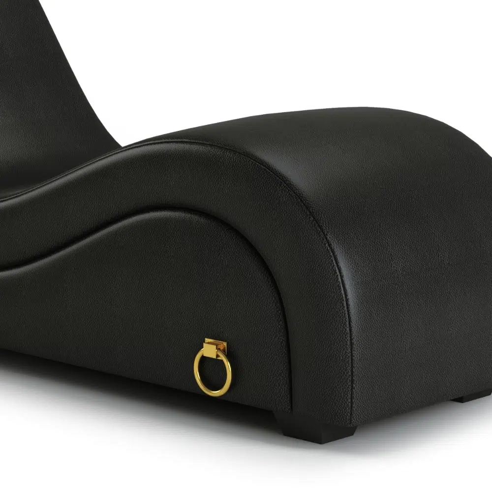 Sofa Tantra « L’audacieux »- Fauteuil Tantra Noir Avec Anneaux – Image 3